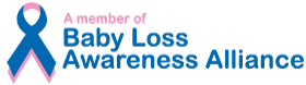 babyloss awareness Member